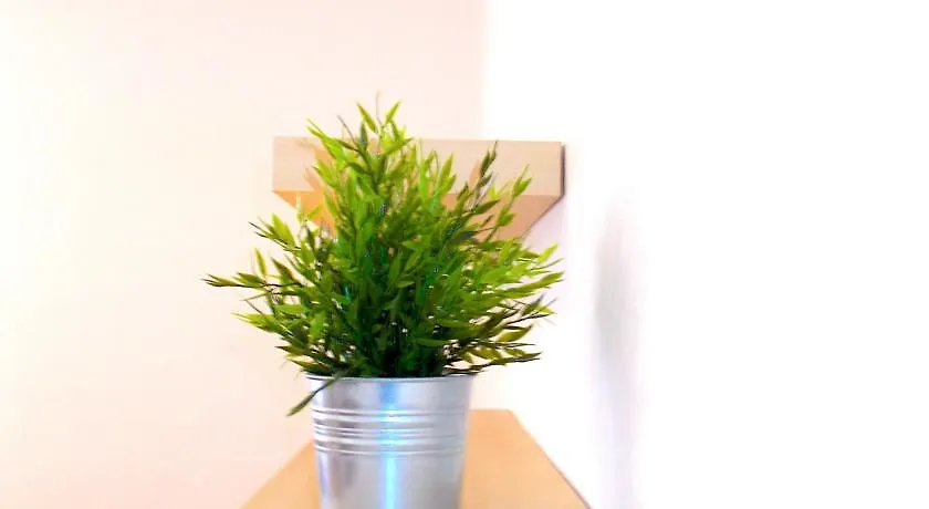 Apartment Marbrillo Pula 0*,  Croatia